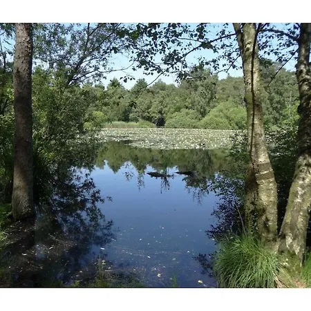 펜션 My, Your, Our 쿡스하펜