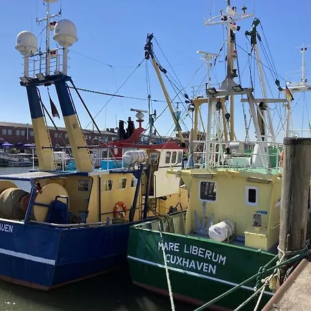 Сasa de vacaciones My, Your, Our