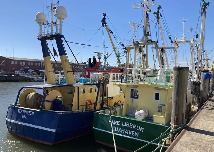 Feriehus My, Your, Our